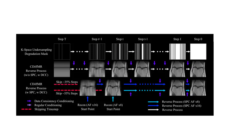 CDiffMR: Can We Replace the Gaussian Noise with K-Space Undersampling for Fast MRI?